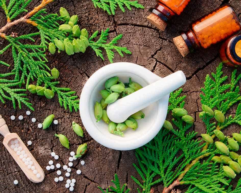 Contexto Profesional de Naturopatía